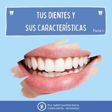 Tus dientes y sus características